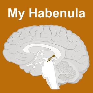 My Habenula (2nd Hip-hop Version)