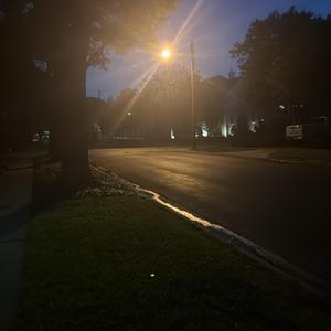 alone