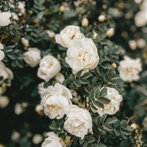 Baad (Instrumental version)