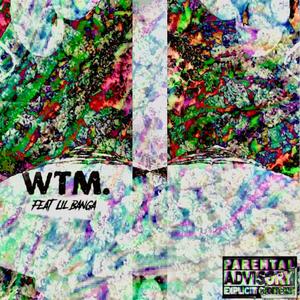 wtm. (feat. RLN Lil Banga)