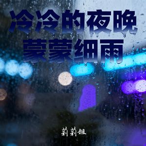 冷冷的夜晚 蒙蒙细雨