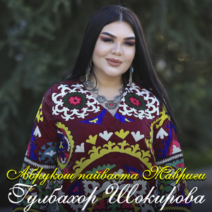 Абрукош пайваста Мавриги