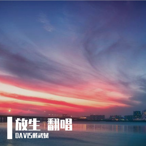 放生（Cover范逸臣）
