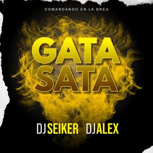 Gata Sata (feat. Dj Alex Del Callao & Dj Seiker)