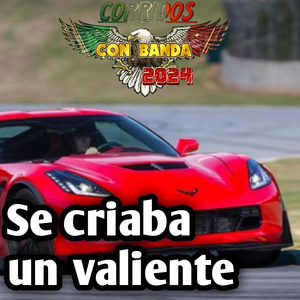 Se criaba un valiente vaquero