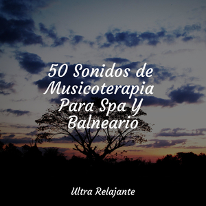 Evolución Armoniosa