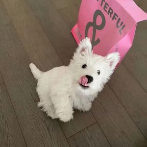 唯一的甜（prod.by Morrow）