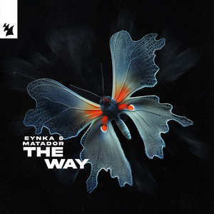 The Way (Extended Mix)