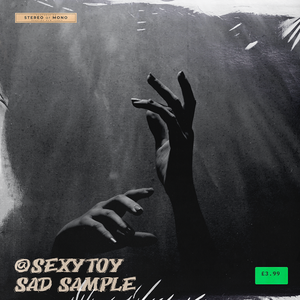 [Sad Sample] Funk TYPE BEAT＠SEXYTOY