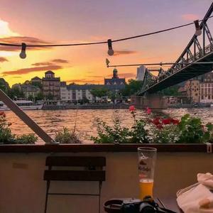 你怎么蠢到我喜欢你都不知道