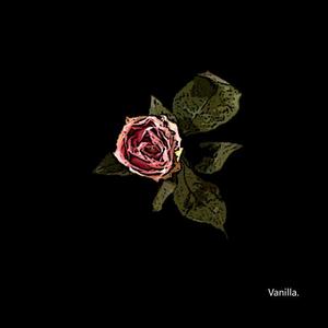 花束般短暂的爱情