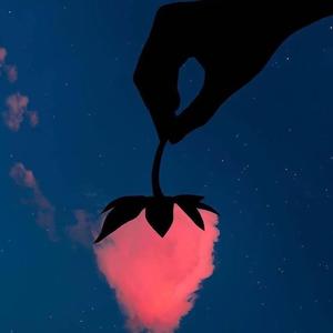 爱情教会我们的事 DEMO