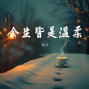 余生皆是温柔