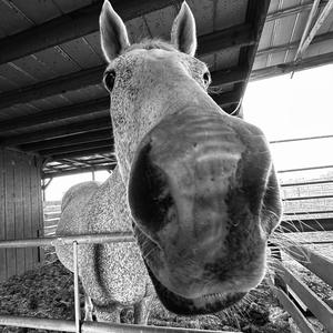 IF BEATPAQUE HAD AN INTERLUDE