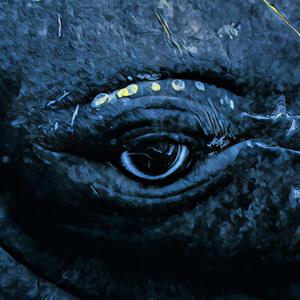 Gyónás a cet gyomrában