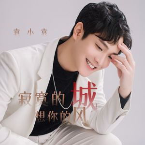 寂寞的城 想你的风