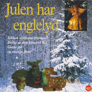 Sikken voldsom trængsel og alarm