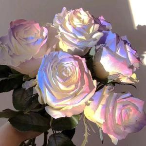 随笔①（Prod By Red killer）