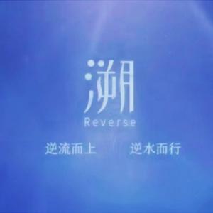 溯（Reverse）（青春有你2版）（翻自 安崎）