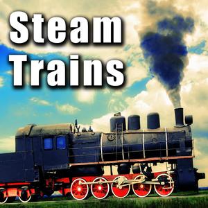 Steam Train Blows Whistles from Close Up