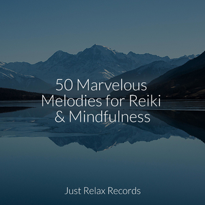 Harmonious Serenity Unbound