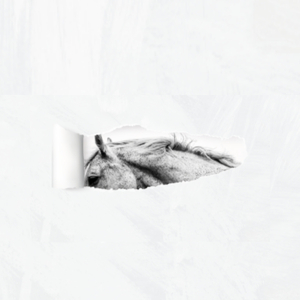 Inevitável Mas o Coração