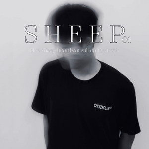 SHEEP01