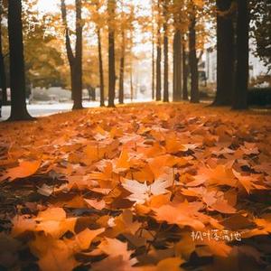 枫叶落满地