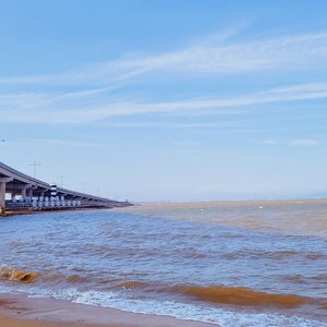 在尘埃里开花.mp3