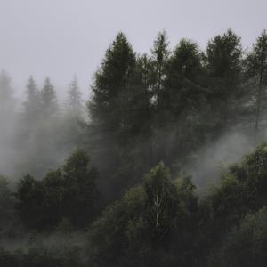 Monte en La Almohada