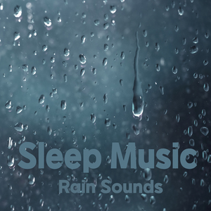 휴식의 숲 (빗소리)