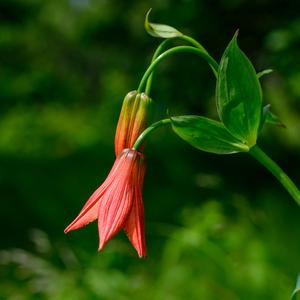 When My Heart Understands