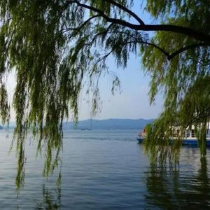 爱我是你逢场作戏