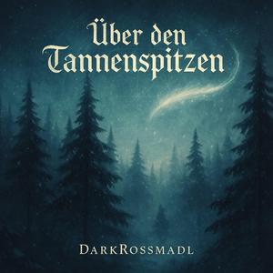 Über den Tannenspitzen