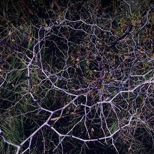 HINA-Alive（Zah remix）