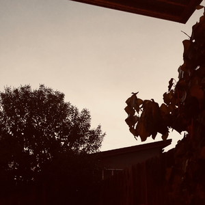 Sacha Noam Baron Cohen