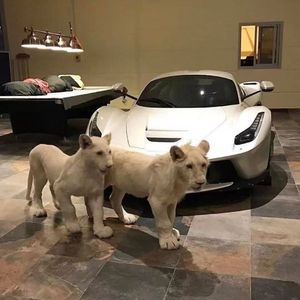 i walk this earth all by myself（Sadieze remix）