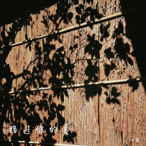 路过你的夏（伴奏）