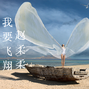 我要飞翔