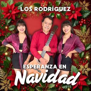 Palomita de Navidad
