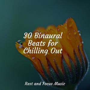 Midsummer at Midnight