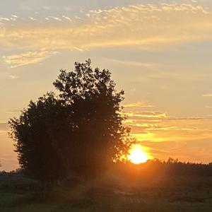 狂恋你（Cover：沈以诚）