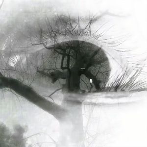 眡死如歸