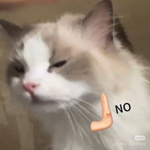 不重要的音乐1号