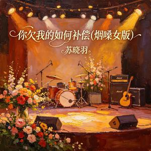 你欠我的如何补偿(烟嗓女版)