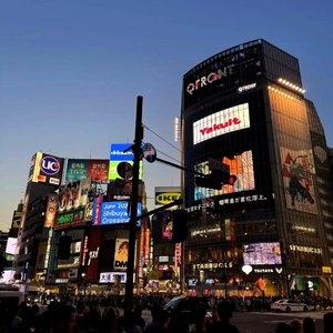 春を告げる（宣告春天）