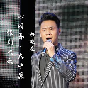 沁园春·大中原