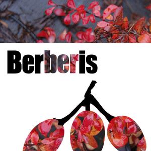 Outsiders (Original Mix)