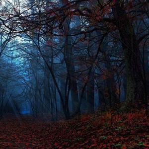 ROLLIN (INSTRUMENTAL)