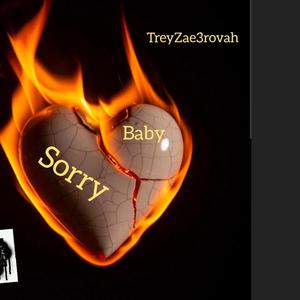 Sorry Baby